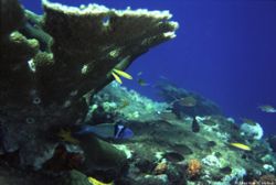 Chichirivichi de la Costa, Venezuela. by Martín F. Castro 